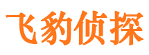 万宁侦探公司